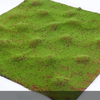 Terrain