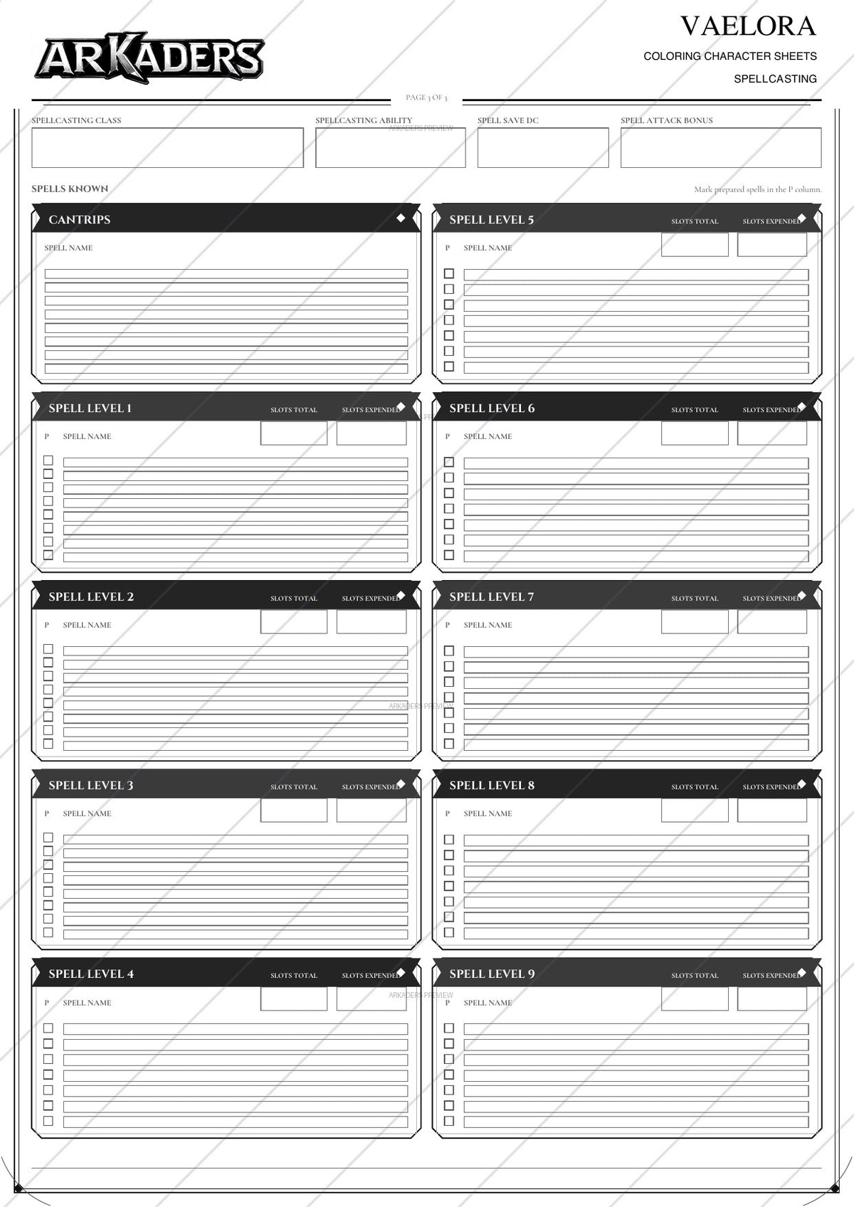 Vaelora Coloring Character Sheet 11