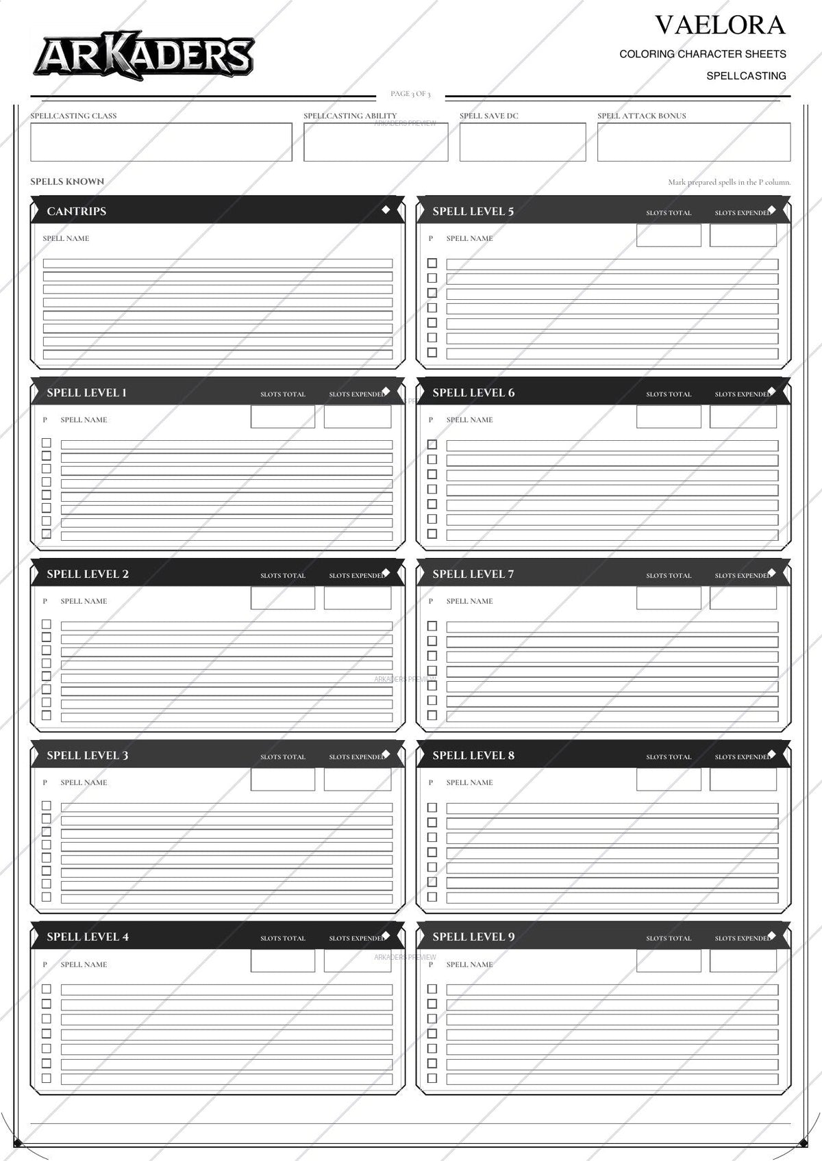 Vaelora Coloring Character Sheet page 5 preview
